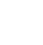 PP Plus logo